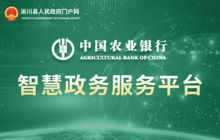 農(nóng)業(yè)銀行智慧政務(wù)服務(wù)平臺(tái)